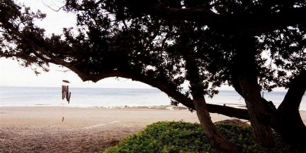 Marina Beach House ラルドス エクステリア 写真
